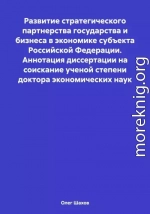 Развитие стратегического партнерства государства и бизнеса в экономике субъекта Российской Федерации. Аннотация диссертации на соискание ученой степени доктора экономических наук