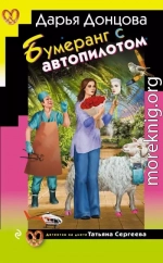 Бумеранг с автопилотом