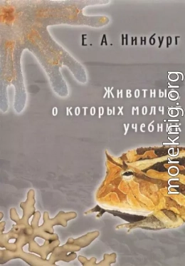 Животные, о которых молчит учебник (статья из книги)