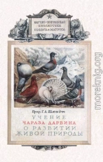 Учение Чарлза Дарвина о развитии живой природы