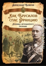 Как Брусилов спас Францию. Хроника легендарного прорыва