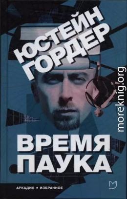 Время Паука