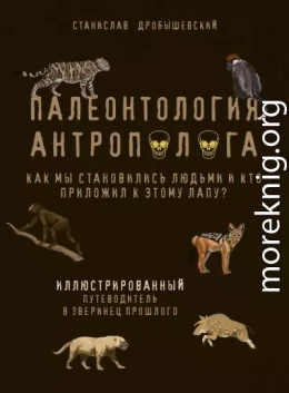 Палеонтология антрополога. Иллюстрированный путеводитель в зверинец прошлого