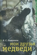 Мои друзья медведи