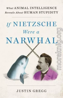 Если бы Ницше был нарвалом. Что интеллект животных говорит о человеческой глупости (ЛП)
