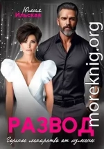 Развод. Горькое лекарство от измены