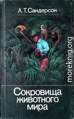 Сокровища животного мира