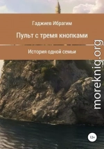 Пульт с тремя кнопками