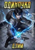 Одиночка. Том V