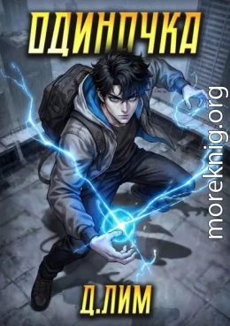 Одиночка. Том V