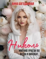 Николь. Именно ураган во всём и виноват