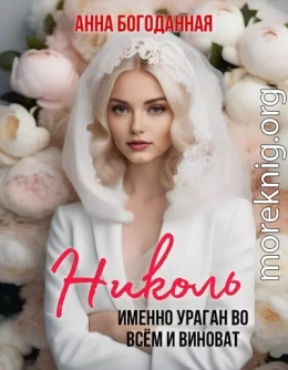 Николь. Именно ураган во всём и виноват