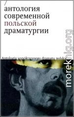 Двое бедных румын, говорящих по-польски