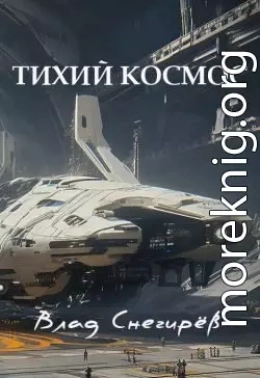 Тихий космос