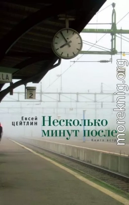 Несколько минут после. Книга встреч