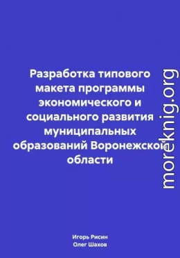 Разработка типового макета программы экономического и социального развития муниципальных образований Воронежской области