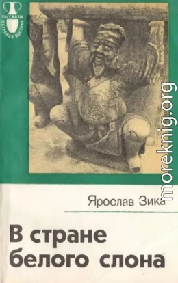 В стране белого слона