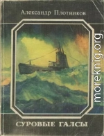 Суровые галсы