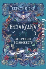 За гранью возможного