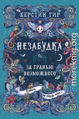 За гранью возможного