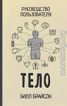 Тело. Руководство пользователя