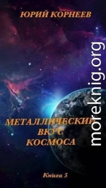 Металлический вкус космоса. Книга 5 (СИ)