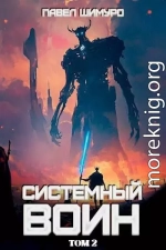 Системный воин. Том II