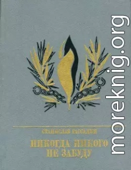 Никогда никого не забуду. Повесть об Иване Горбачевском