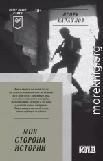 Моя сторона истории