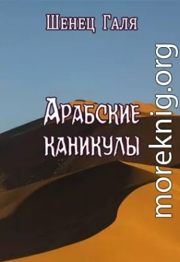 Арабские каникулы