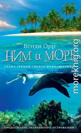 Ним и море