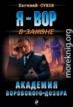 Академия воровского дозора