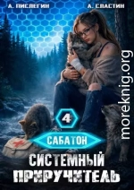 Системный приручитель 4