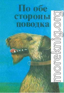 Дог