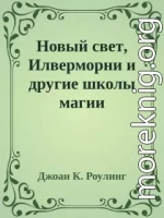 Новый свет, Илверморни и другие школы магии