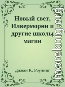 Новый свет, Илверморни и другие школы магии