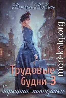 Трудовые будни барышни-попаданки 3