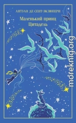 Маленький принц. Цитадель