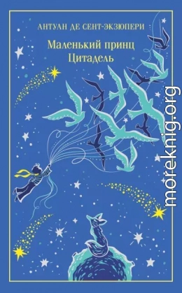 Маленький принц. Цитадель