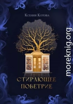 Стирающее поветрие, или Бумажная лавка госпожи Анны