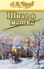 Шило в мешке