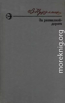 За развилкой — дорога