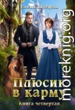Плюсик в карму. Книга четвертая