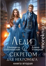 Леди с секретом для некромага. Книга 2