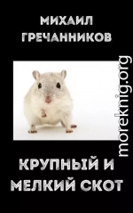 Крупный и мелкий скот