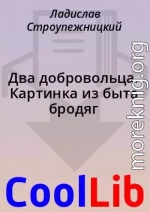 Два добровольца. Картинка из быта бродяг