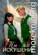 Ты – моё искушение. Изгой и Аристократка