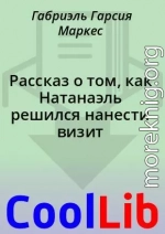 Рассказ о том, как Натанаэль решился нанести визит