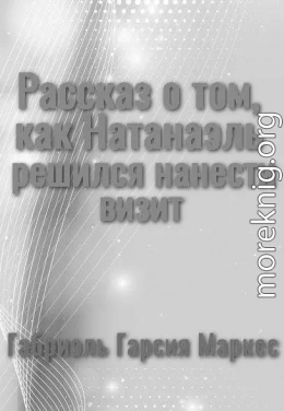 Рассказ о том, как Натанаэль решился нанести визит