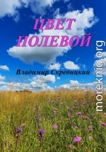 Цвет полевой